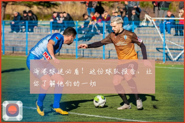 海港球迷必看！这份球队报告，让你了解他们的一切