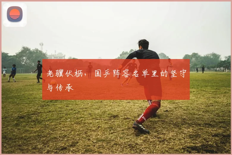老骥伏枥，国乒阵容名单里的坚守与传承